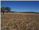Felton QLD 4358