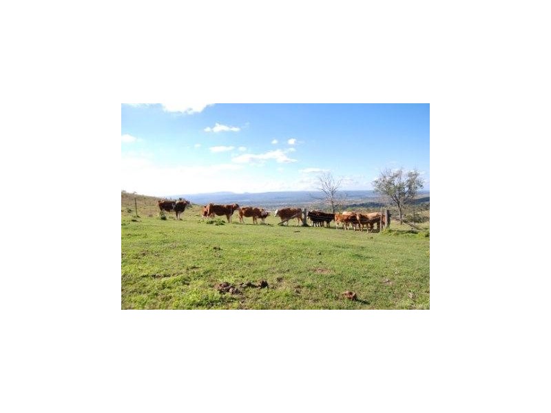 Toowoomba QLD 4350