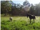Gatton QLD 4343