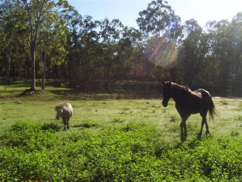 Gatton QLD 4343