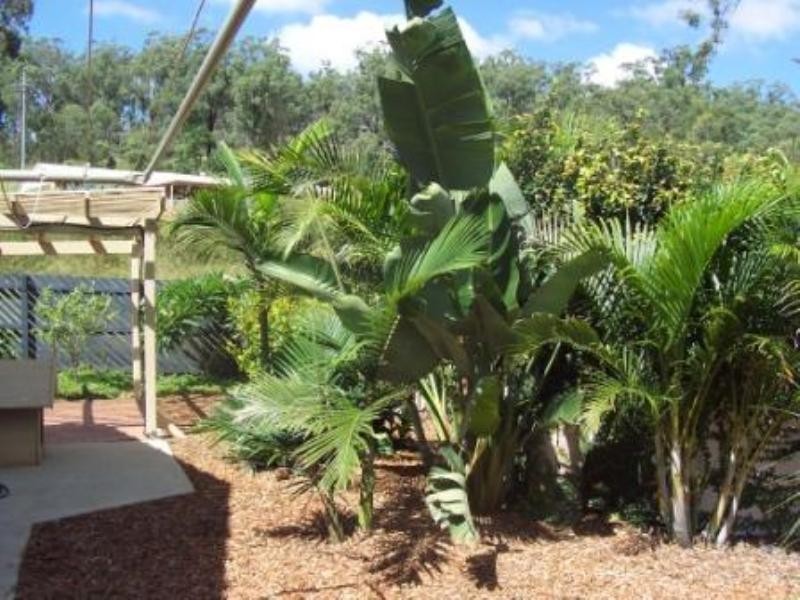 8 Gordon Crescent, Withcott QLD 4352