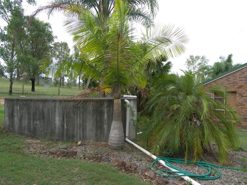 6 Diana Crescent, Withcott QLD 4352