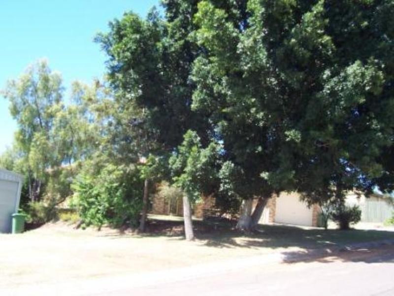 3 May Court, Withcott QLD 4352