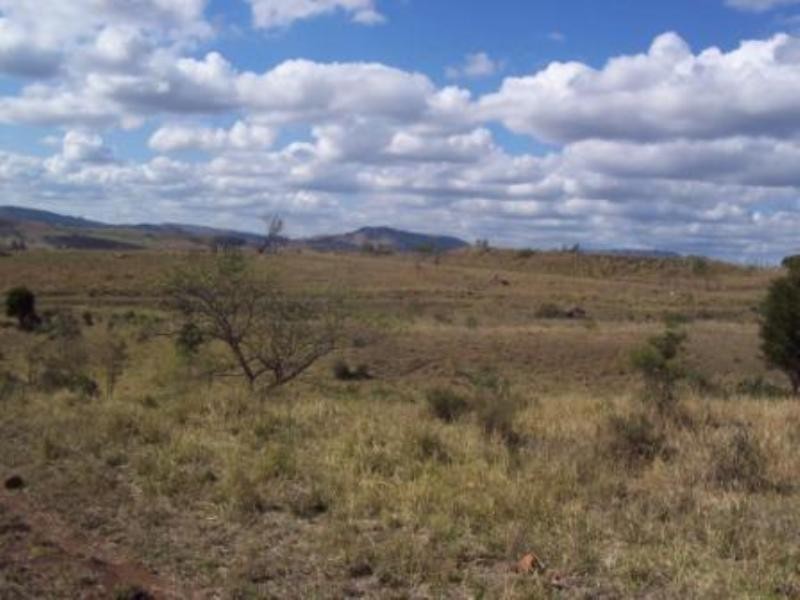 348 Mount Sylvia Road, Upper Tenthill QLD 4343