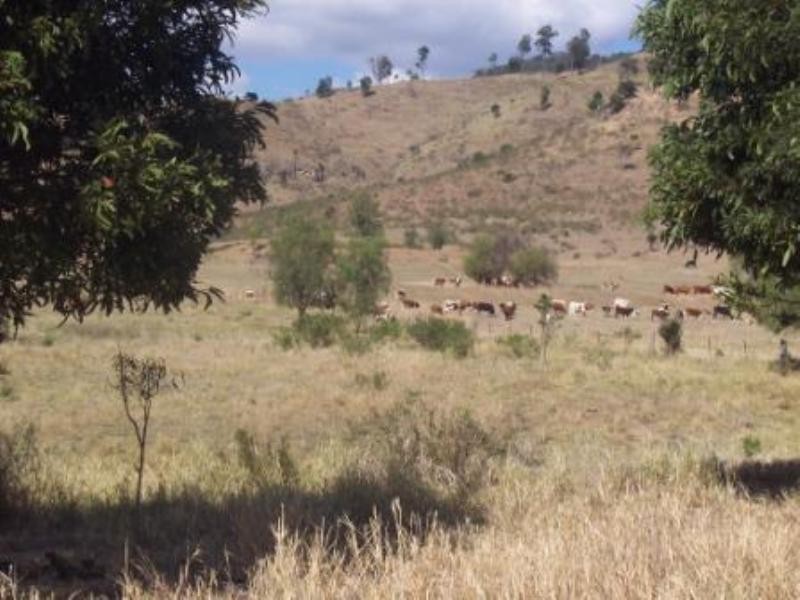 348 Mount Sylvia Road, Upper Tenthill QLD 4343