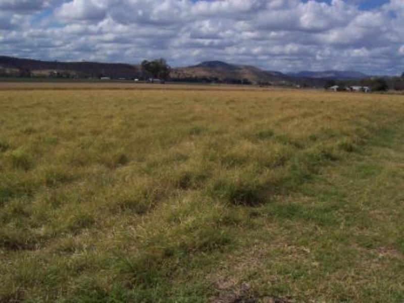 348 Mount Sylvia Road, Upper Tenthill, Gatton QLD 4343