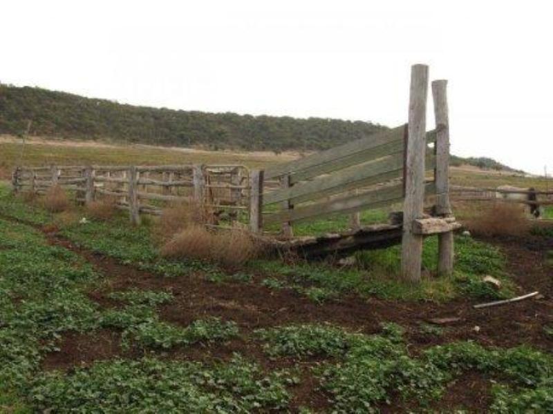 Lot 37 Pilton Valley Road, Pilton QLD 4361