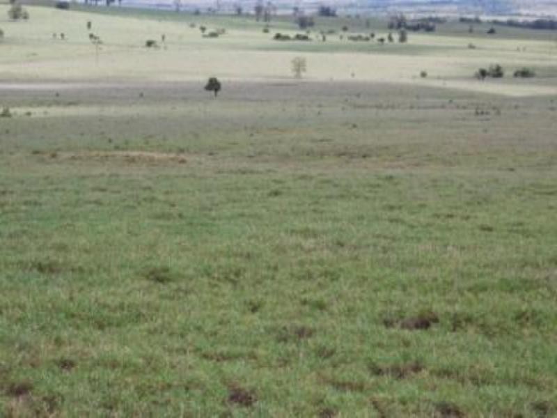 Giligulgul Road, Wandoan QLD 4419