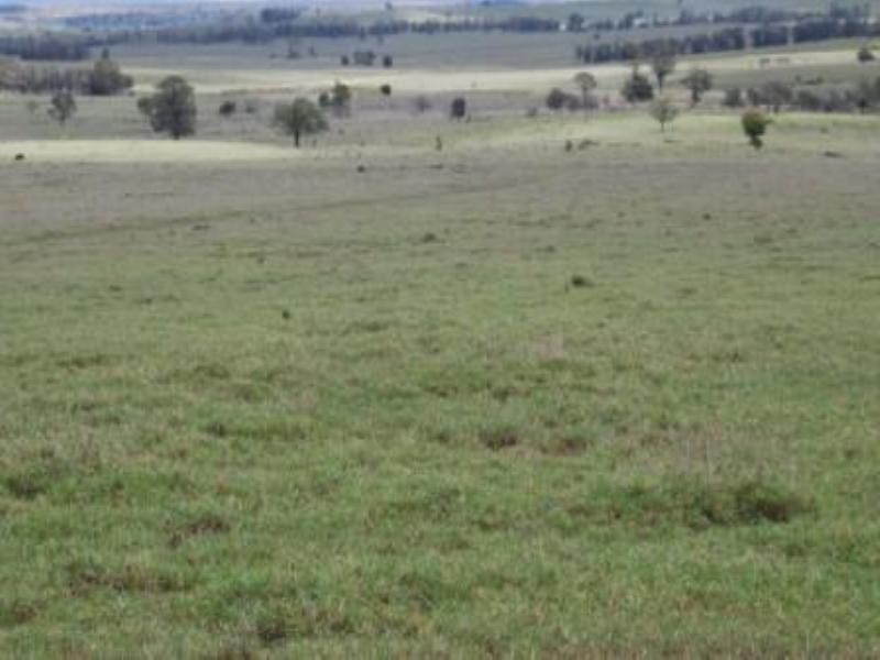 Giligulgul Road, Wandoan QLD 4419