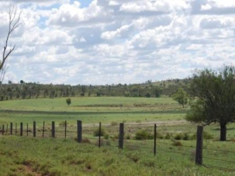 Giligulgul Road, Wandoan QLD 4419