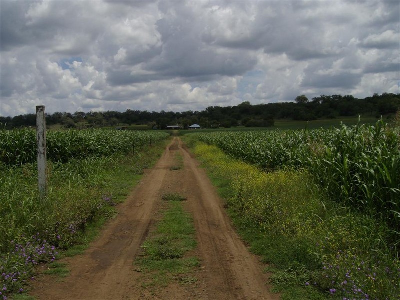 6 Garthe Road, Oakey QLD 4401