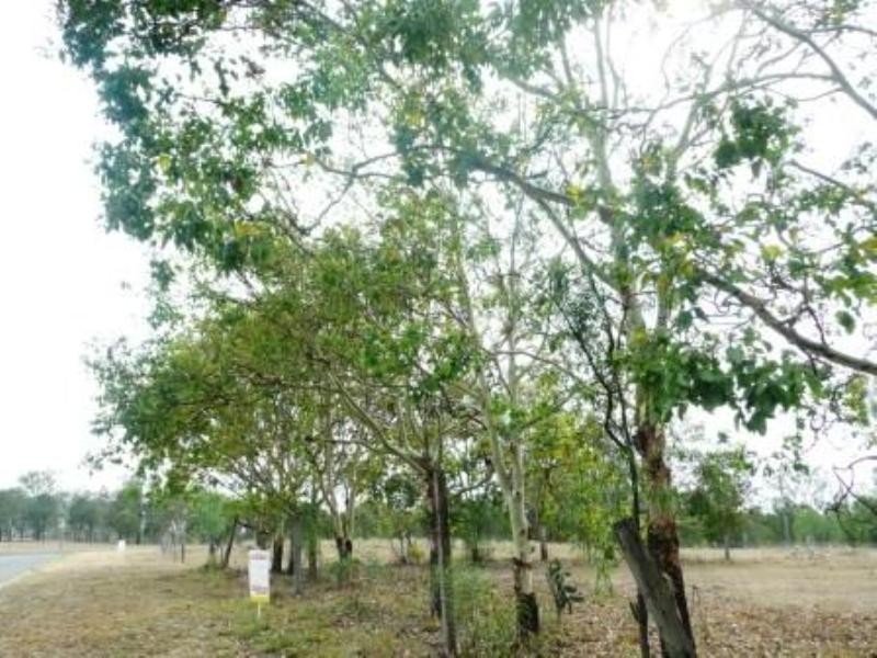 Lot 2, 94 Ossian Street, Murphys Creek QLD 4352