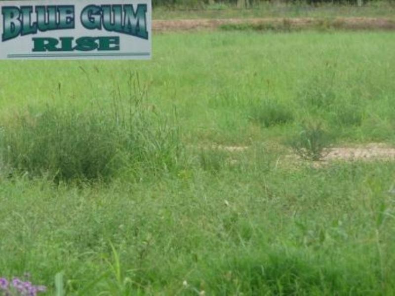 Lot 1 ‘Blue Gum Rise Estate’, Murphys Creek Road, Murphys Creek QLD 4352