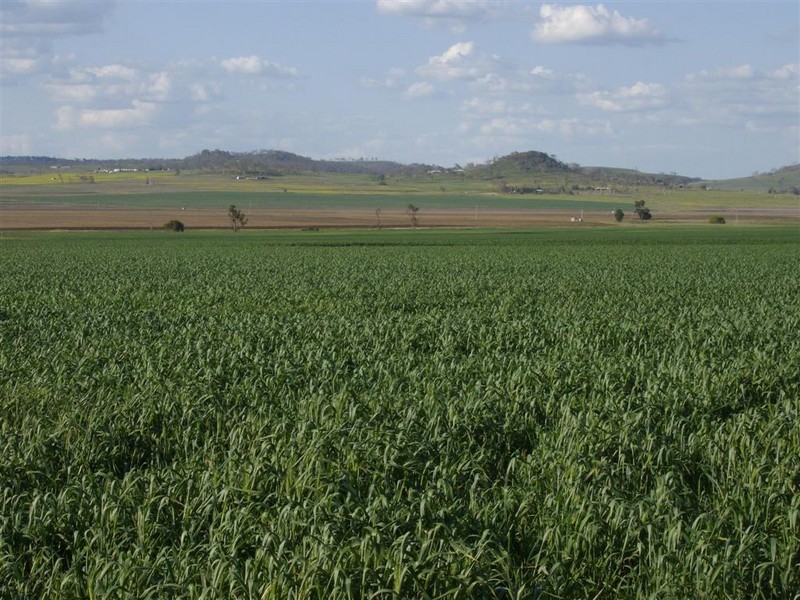 Cambooya QLD 4358
