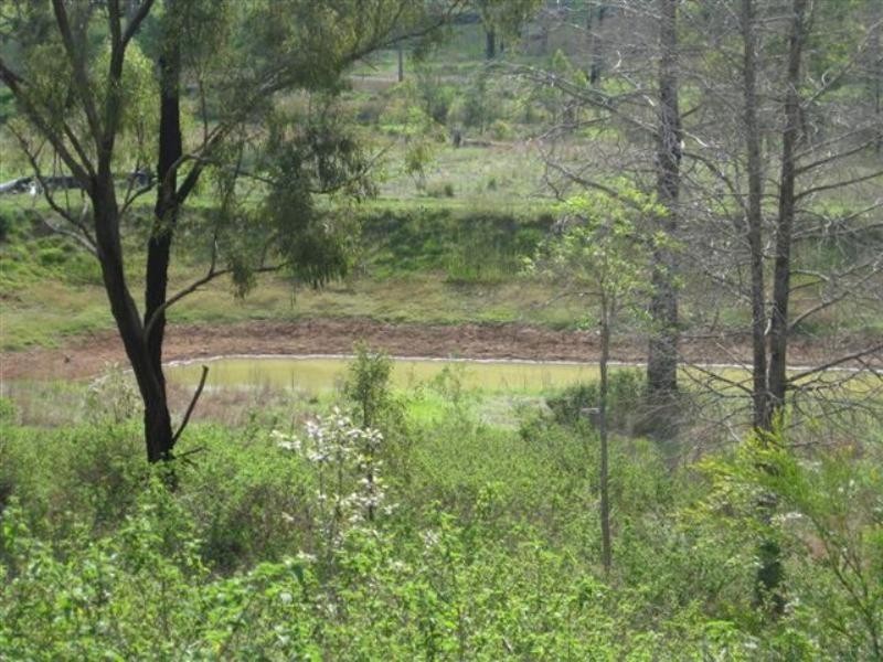 Black Duck Creek QLD 4343