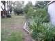 Nobby QLD 4360