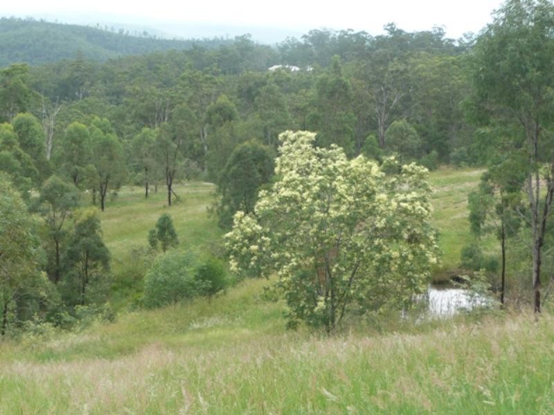 81 Tabletop Road, Withcott QLD 4352