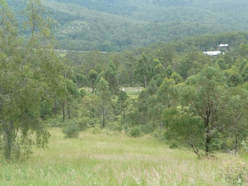 81 Tabletop Road, Withcott QLD 4352