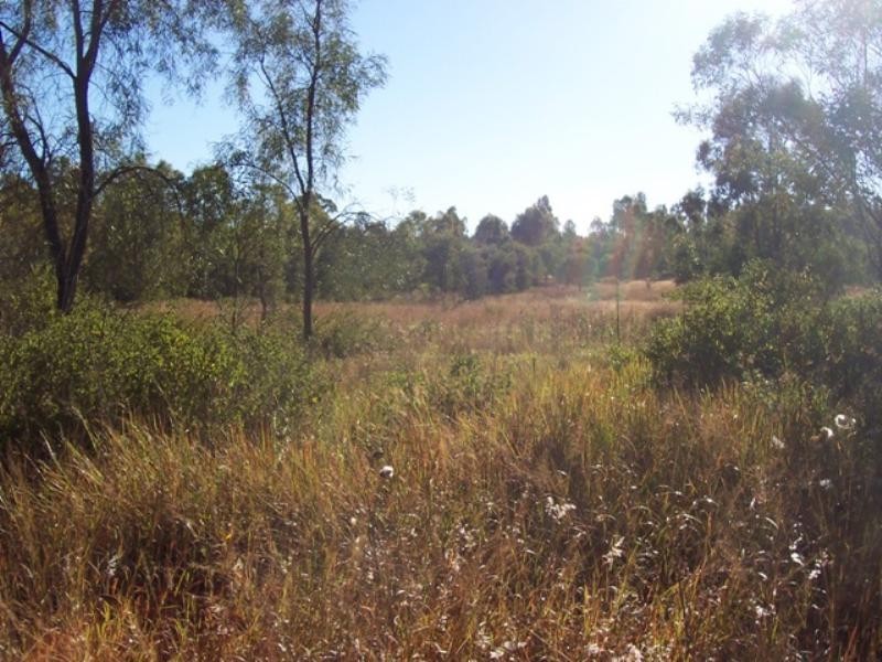 0 Thomas, Withcott QLD 4352