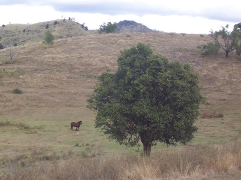 73 Abbotts Road, Withcott QLD 4352