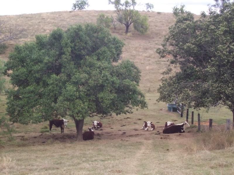 73 Abbotts Road, Withcott QLD 4352