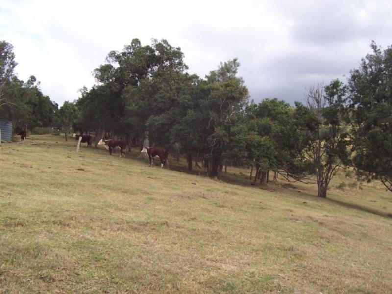 73 Abbotts Road, Derrymore QLD 4352