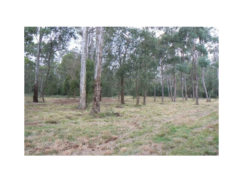 Lot 9 Davidson Lane, Hampton QLD 4352