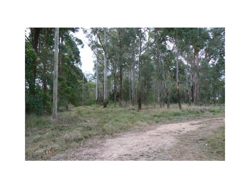 Lot 9 Davidson Lane, Hampton QLD 4352