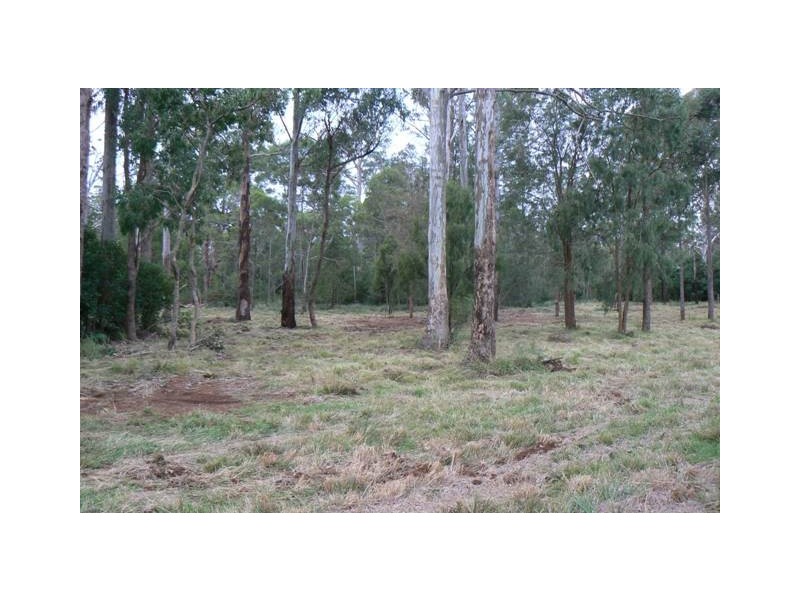 Lot 9 Davidson Lane, Hampton QLD 4352