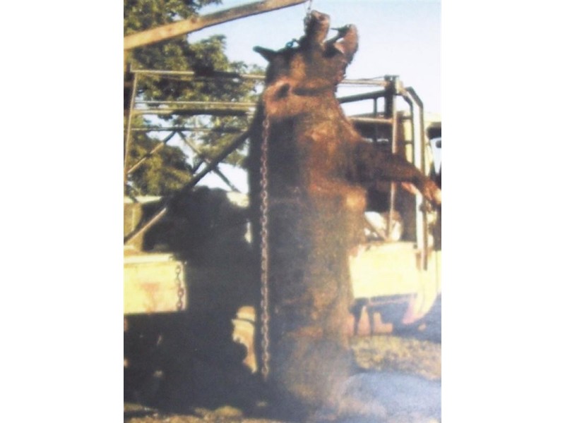 Chaff mill for sale, Grantham QLD 4347