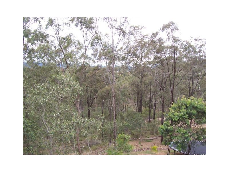 3 Clive Crescent, Withcott QLD 4352