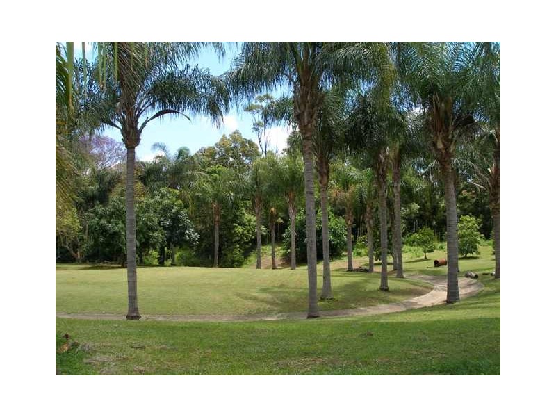 6 Shorelands Drive, Withcott QLD 4352