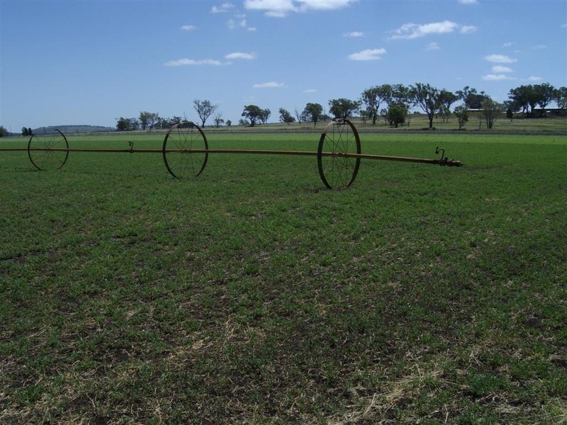 Kingsthorpe QLD 4400