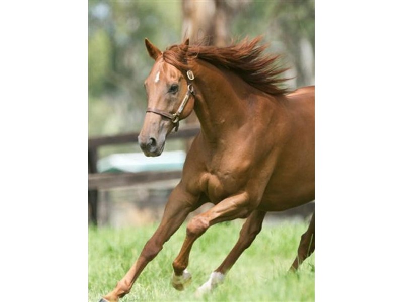 3 Moobi Road, Scone NSW 2337