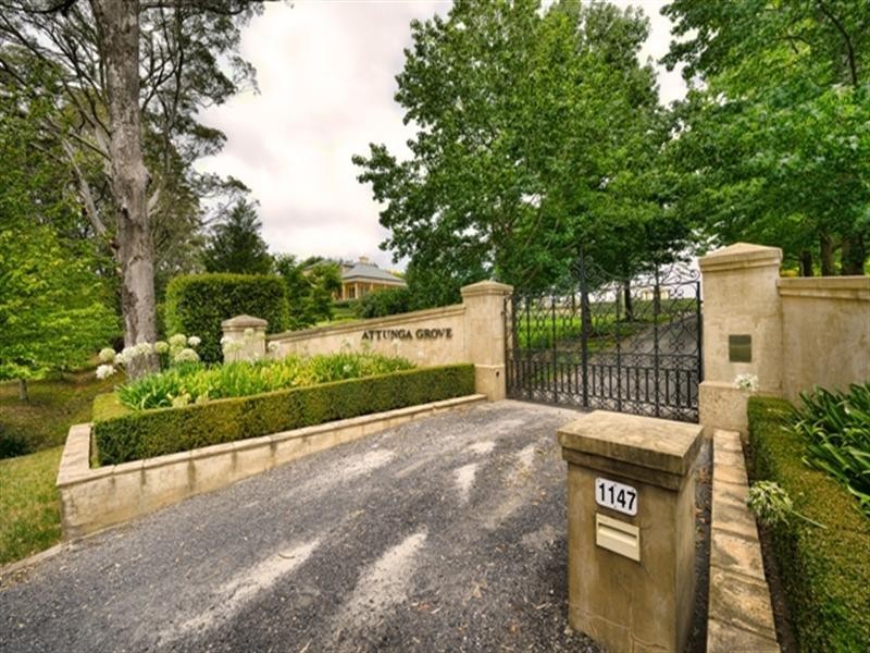 1147 Old Hume Highway, Alpine NSW 2575