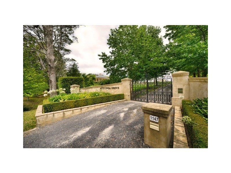 1147 Old Hume Highway, Alpine NSW 2575