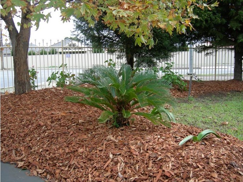 75 Reservoir Road, Modbury SA 5092