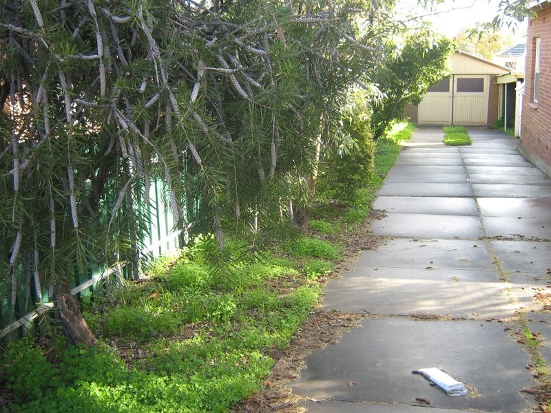 6 Russell Street, Magill SA 5072