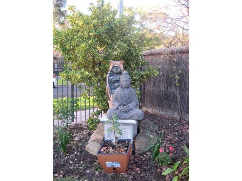 30 Young Street, Burnside SA 5066