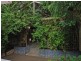 10 Erskine Street, Goodwood SA 5034