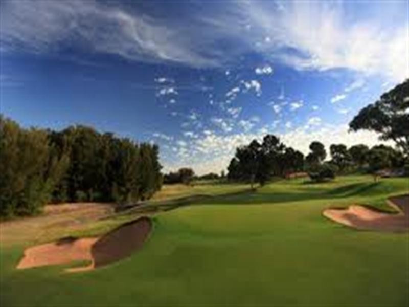 20 Mawson Crescent, Lockleys SA 5032