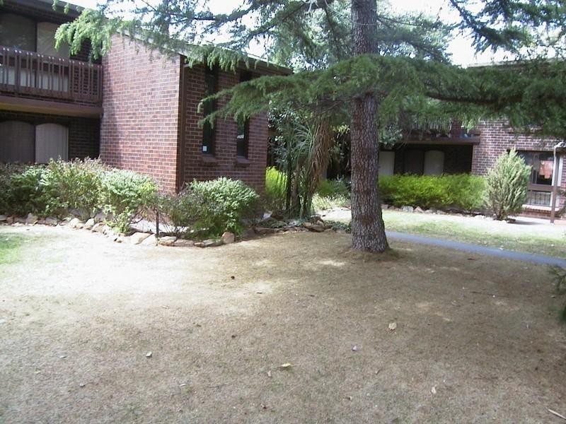 6/11 Erskine Street, Goodwood SA 5034