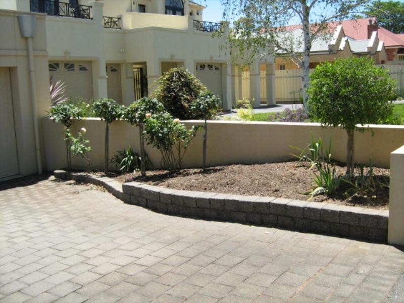 8 White Avenue, Fullarton SA 5063
