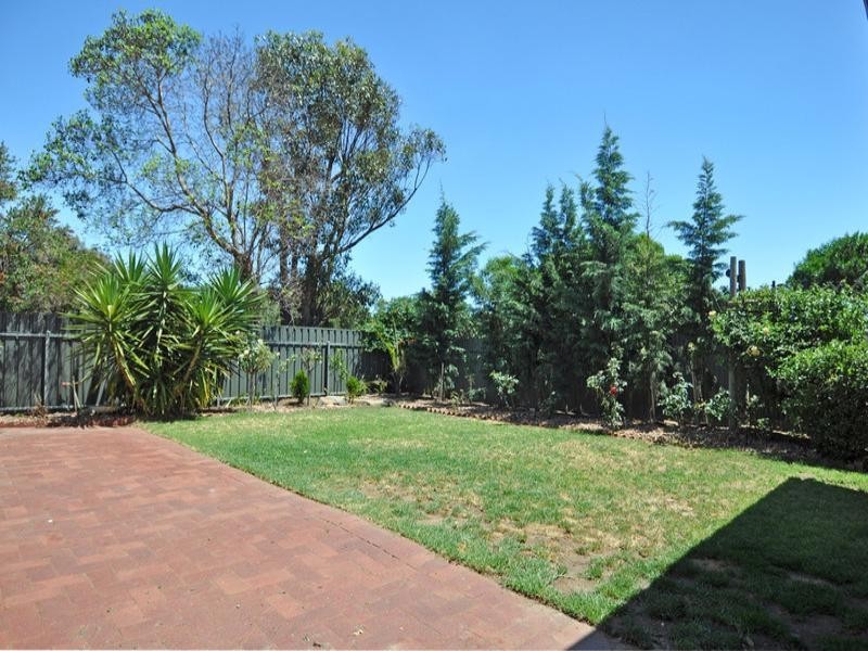 50 Baroda Avenue, Netley SA 5037