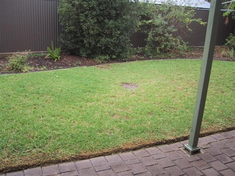 65 ANN Street, Campbelltown SA 5074