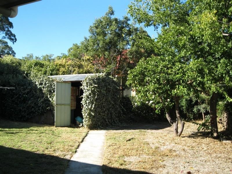 17 Austin Crescent, St Georges SA 5064