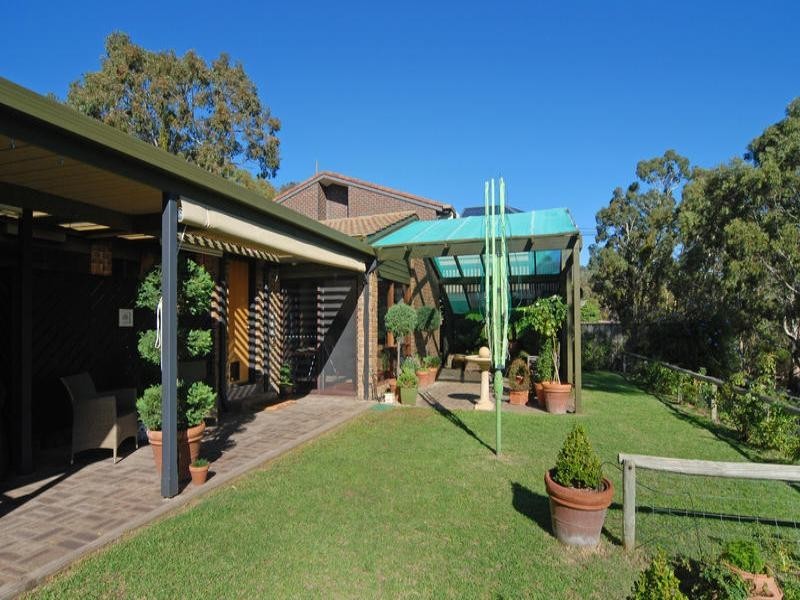 50 Quondong Avenue, Athelstone SA 5076