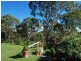 50 Quondong Avenue, Athelstone SA 5076