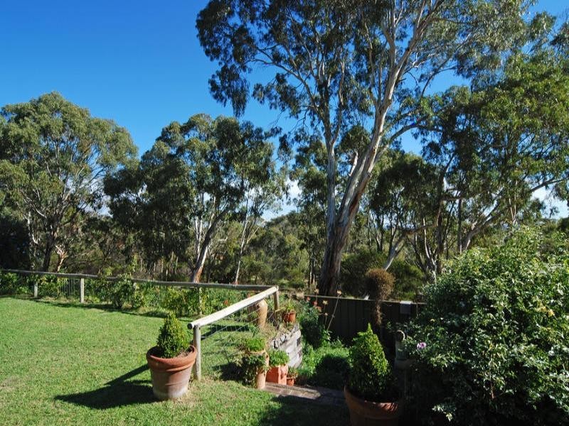 50 Quondong Avenue, Athelstone SA 5076