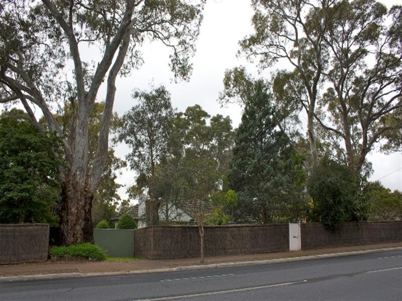 379 Kensington Road, Kensington Gardens SA 5068